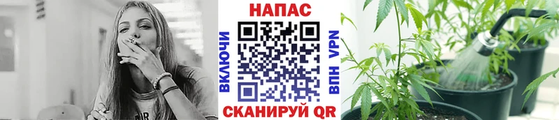 Бошки Шишки VHQ Исилькуль